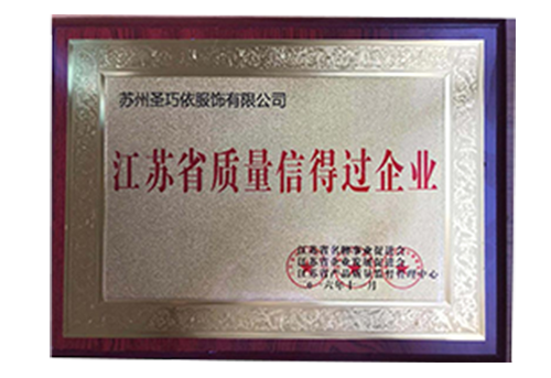 Qualitäts- und vertrauenswürdiges Unternehmen der Provinz Jiangsu